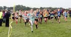 Start of the under-13 girls at the Sherman Cup, Hedley Farm, Tanfield,  County Durham.